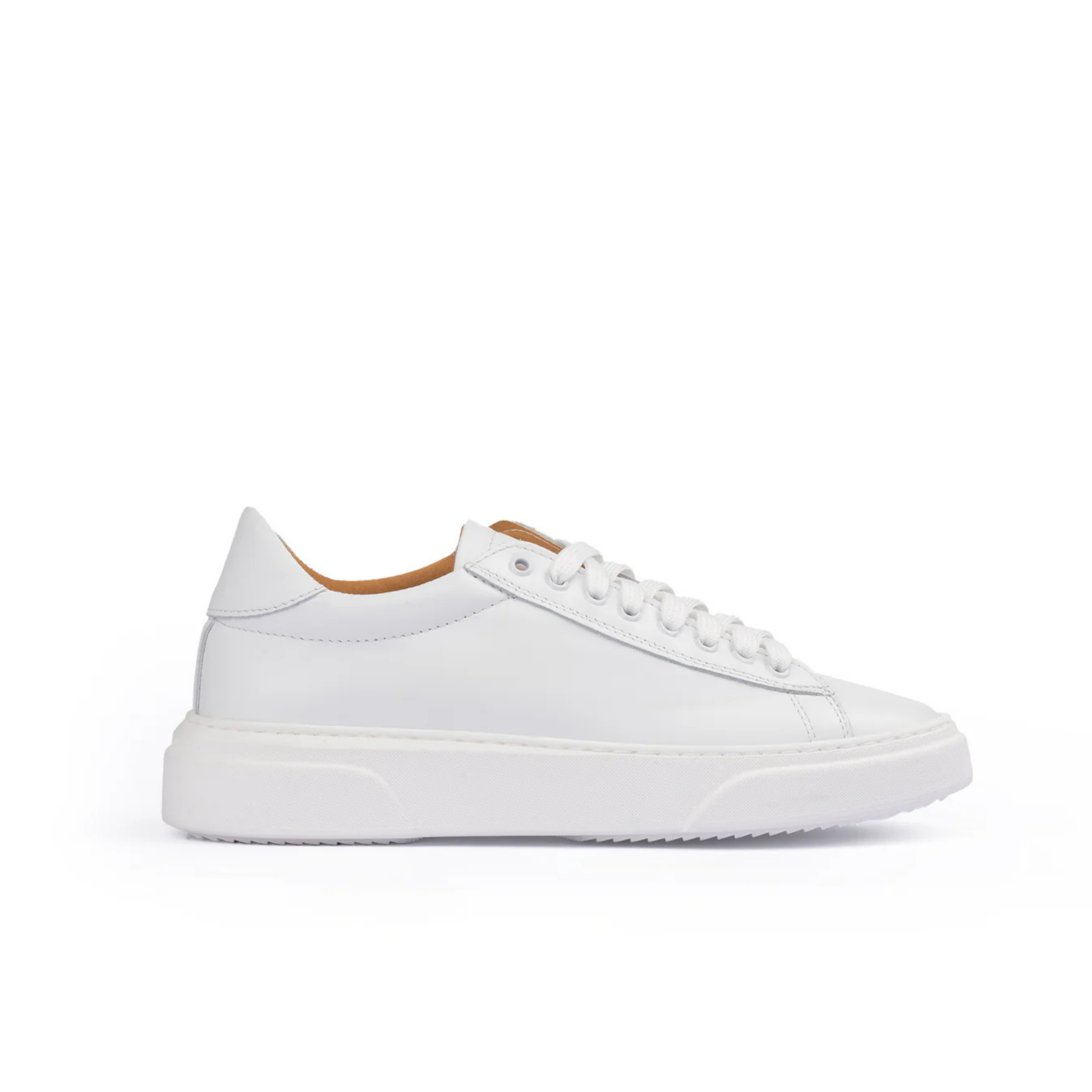 Sneakers basse Uomo Smith in Vera Pelle